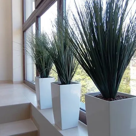 Park W Mielnie * מיילנו